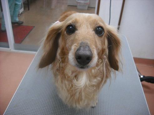 ファイル 533-1.jpg