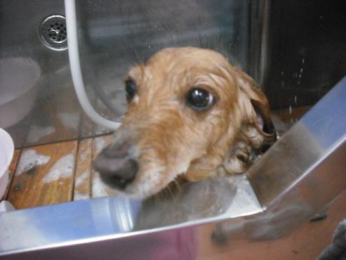 ファイル 533-2.jpg