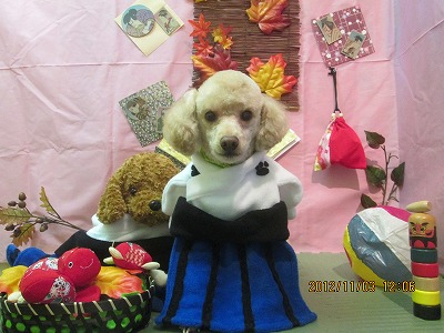 ファイル 5330-1.jpg