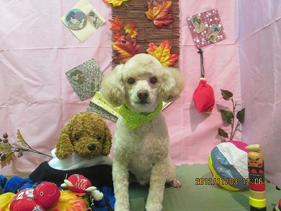 ファイル 5330-2.jpg