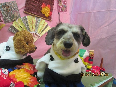 ファイル 5331-1.jpg