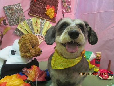 ファイル 5331-2.jpg