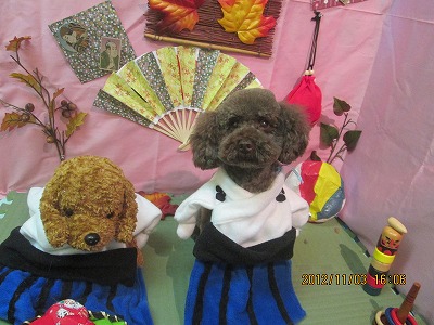 ファイル 5332-1.jpg