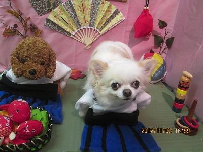 ファイル 5334-1.jpg