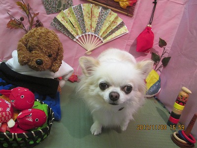 ファイル 5334-2.jpg