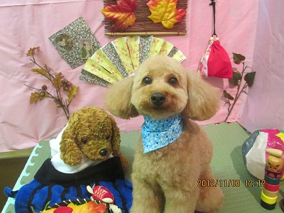 ファイル 5335-2.jpg