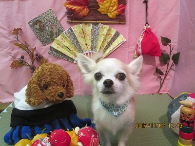 ファイル 5336-2.jpg