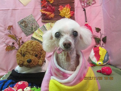 ファイル 5337-1.jpg