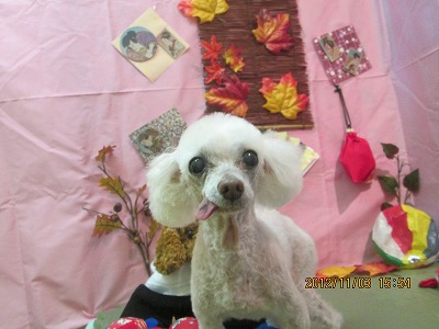 ファイル 5337-2.jpg