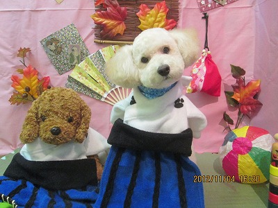 ファイル 5338-1.jpg