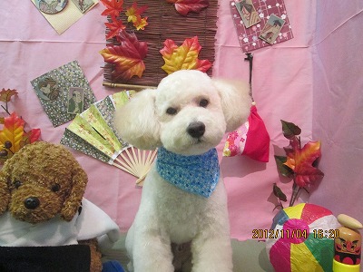 ファイル 5338-2.jpg