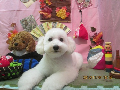 ファイル 5339-1.jpg