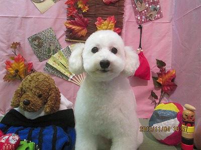 ファイル 5339-2.jpg