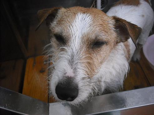 ファイル 534-2.jpg