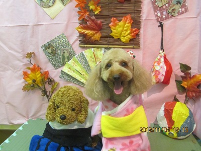 ファイル 5340-1.jpg