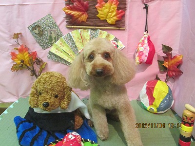 ファイル 5340-2.jpg