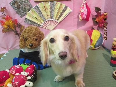 ファイル 5341-2.jpg