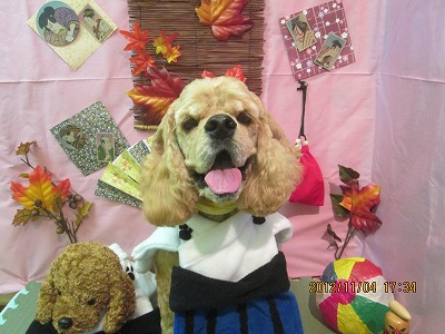 ファイル 5342-1.jpg