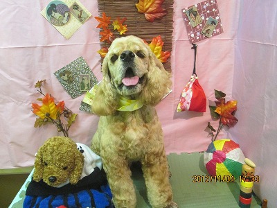 ファイル 5342-2.jpg