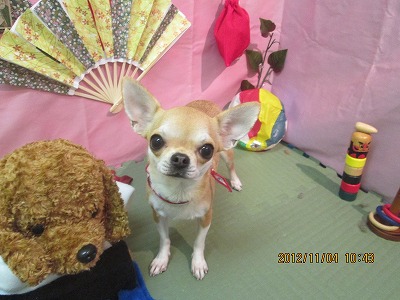 ファイル 5343-2.jpg