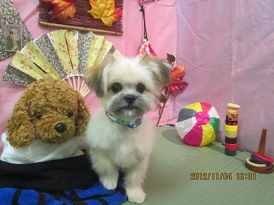 ファイル 5344-1.jpg