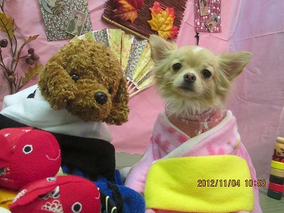 ファイル 5346-1.jpg