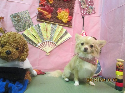 ファイル 5346-2.jpg