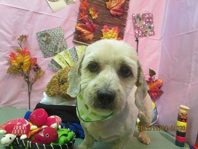 ファイル 5347-2.jpg