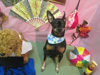 ファイル 5348-2.jpg