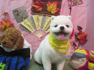 ファイル 5349-2.jpg