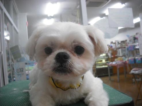 ファイル 535-1.jpg