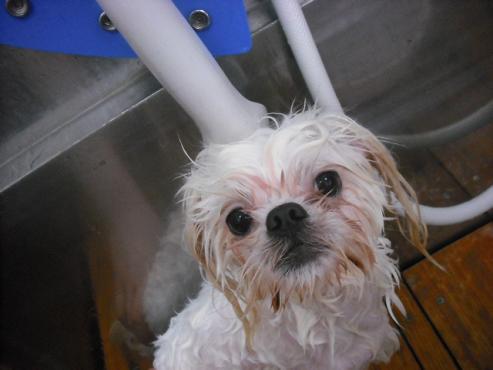 ファイル 535-2.jpg