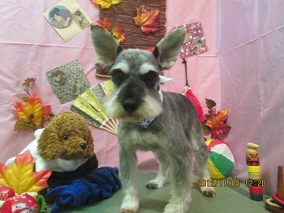 ファイル 5350-2.jpg