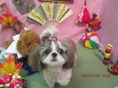 ファイル 5351-2.jpg