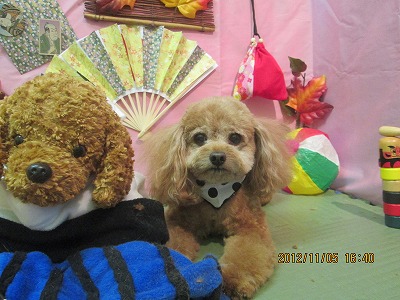 ファイル 5352-2.jpg