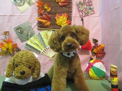 ファイル 5353-2.jpg