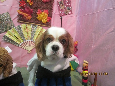 ファイル 5354-2.jpg