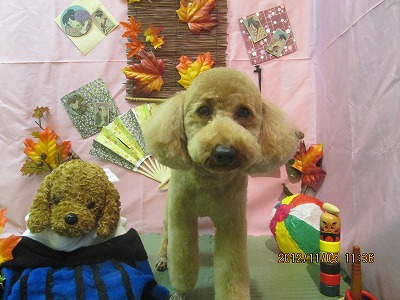 ファイル 5355-2.jpg