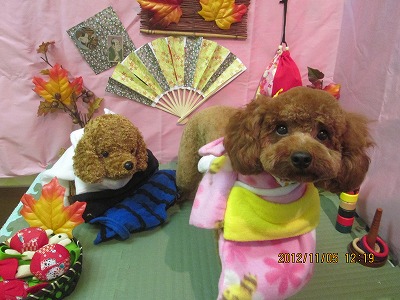 ファイル 5356-1.jpg