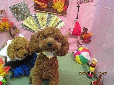 ファイル 5356-2.jpg