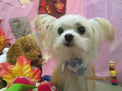 ファイル 5357-2.jpg