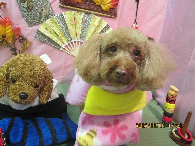 ファイル 5358-1.jpg