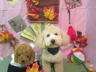 ファイル 5359-2.jpg