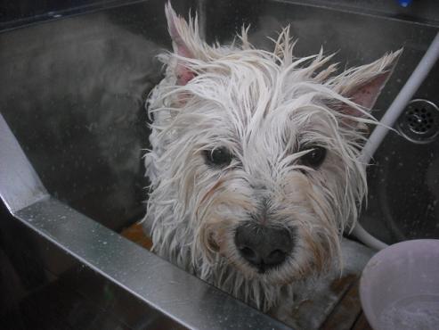 ファイル 536-2.jpg