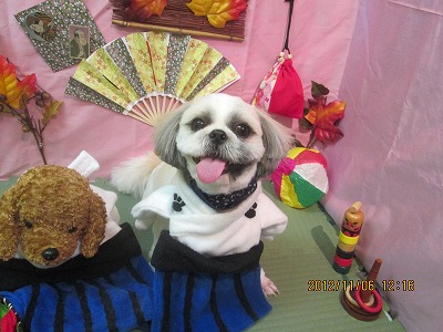 ファイル 5360-1.jpg