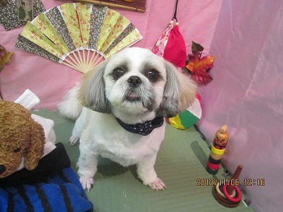 ファイル 5360-2.jpg