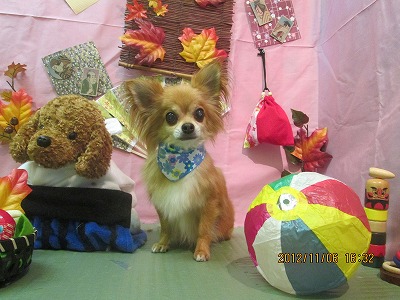 ファイル 5361-2.jpg