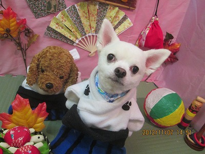 ファイル 5362-1.jpg