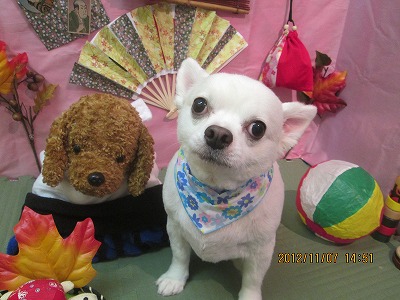 ファイル 5362-2.jpg