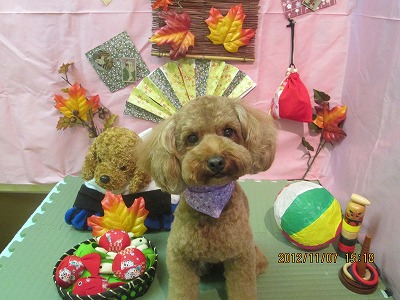 ファイル 5363-2.jpg